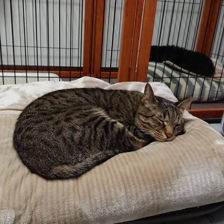 2e81e2a7 977f 4b36 adb0 7cf689fbc146 1517685518428