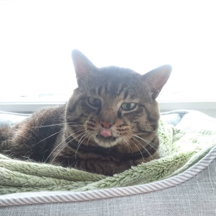 2e81ee8a a0b4 466f 9e80 2da2d6f7db9e 1531345589917