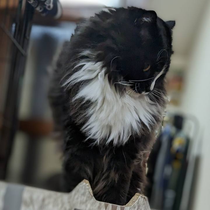 2e82090d db95 4ae5 9d13 c511f275804f 1684965013206