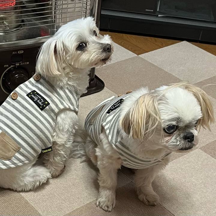 2e820fd4 9a47 45ae bfb0 5b338a589c6d 1672463196600