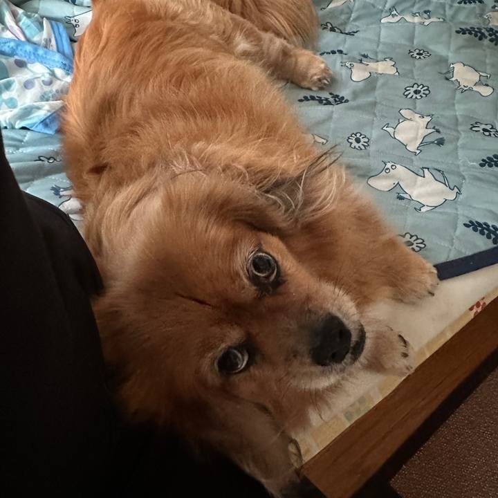 2e822cb7 6a14 4bab 8ab4 51f4cb1d7d44 1755810459175