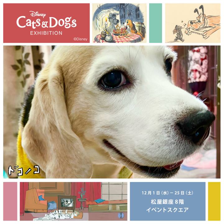 2e8230c4 b315 4d11 818c e39155e9d644 1638330324956