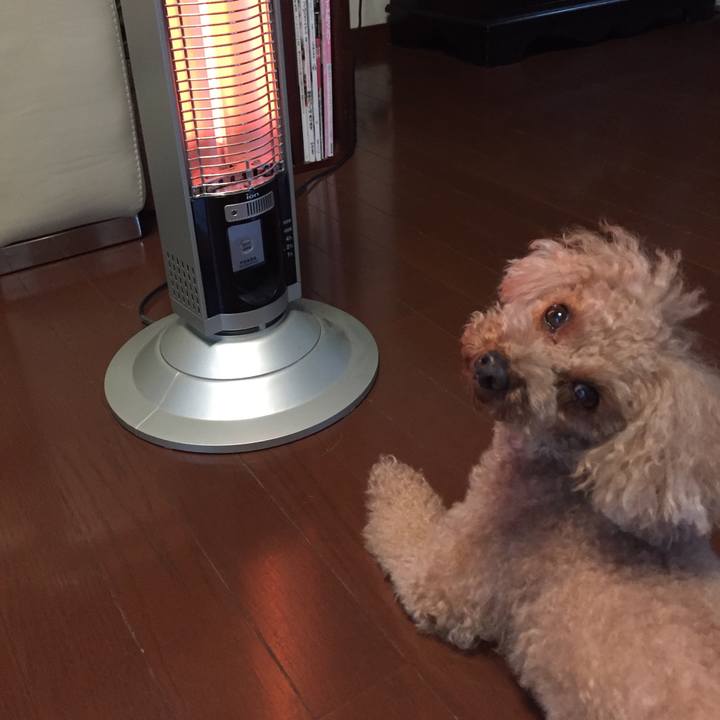 2e823b52 f95b 43e1 9bdc f2490166e7fa 1508140983782