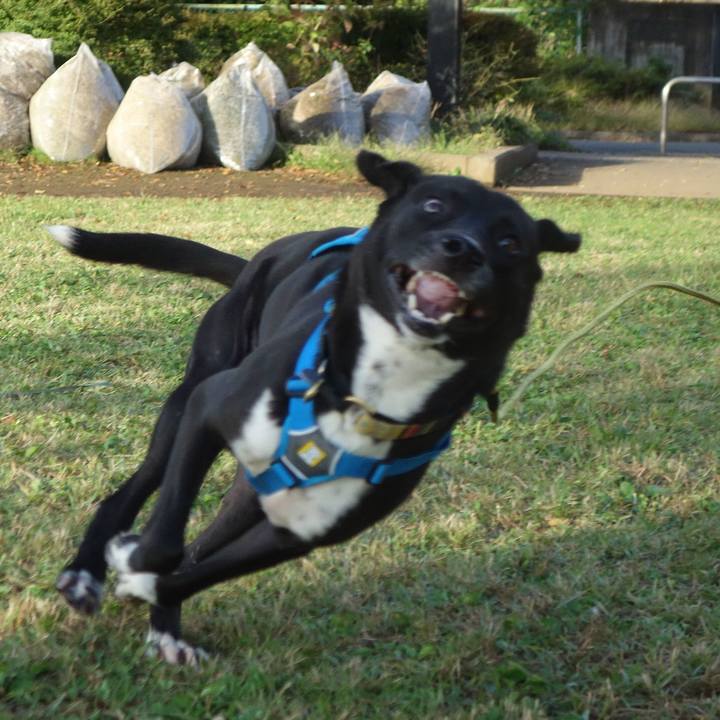 2e824b0e f9c3 4761 b1b5 960dbe3c8528 1603670287014