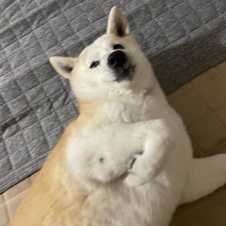 2e82a926 6101 45f4 8b68 b446ac9a266f 1650323720102