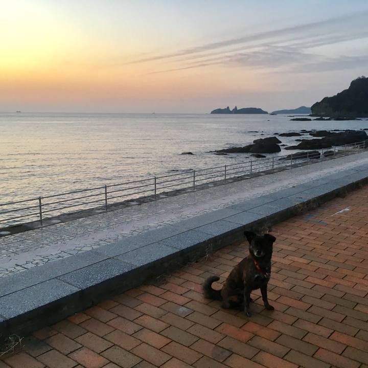 2e82b2db 9421 41b7 bcbd 4bba084f1a2a 1517222345856