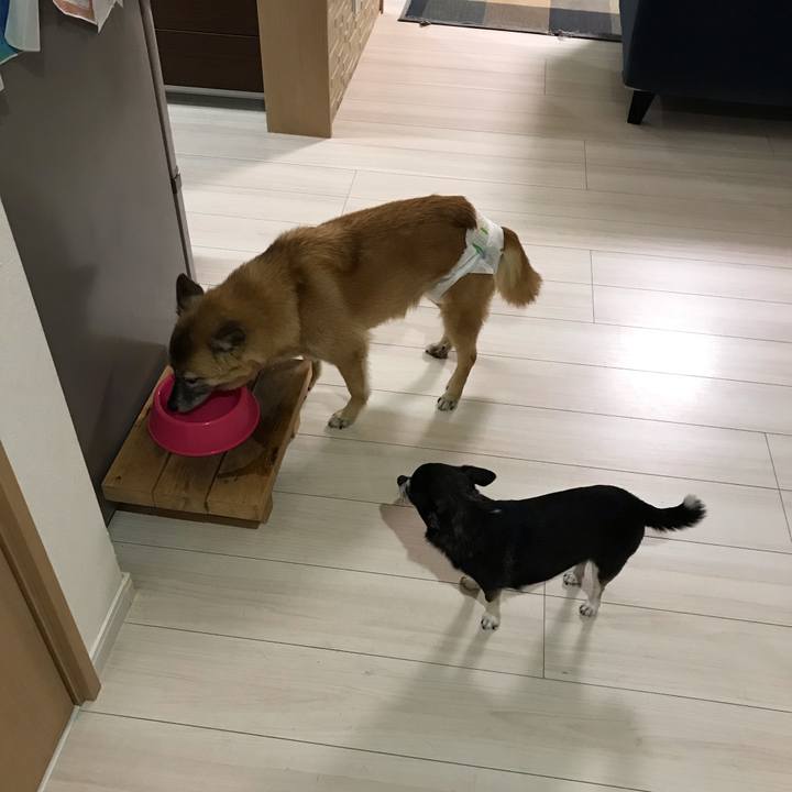 2e82c919 257b 42f1 ae8a 1815af5be448 1569845061767