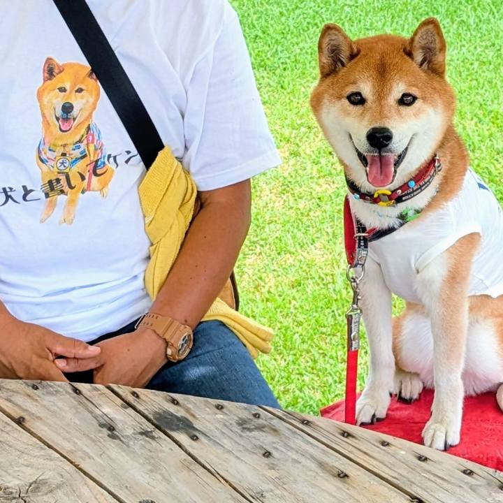 2e82d1fb 5690 4a12 bd80 0c0fd060984e 1751680183585