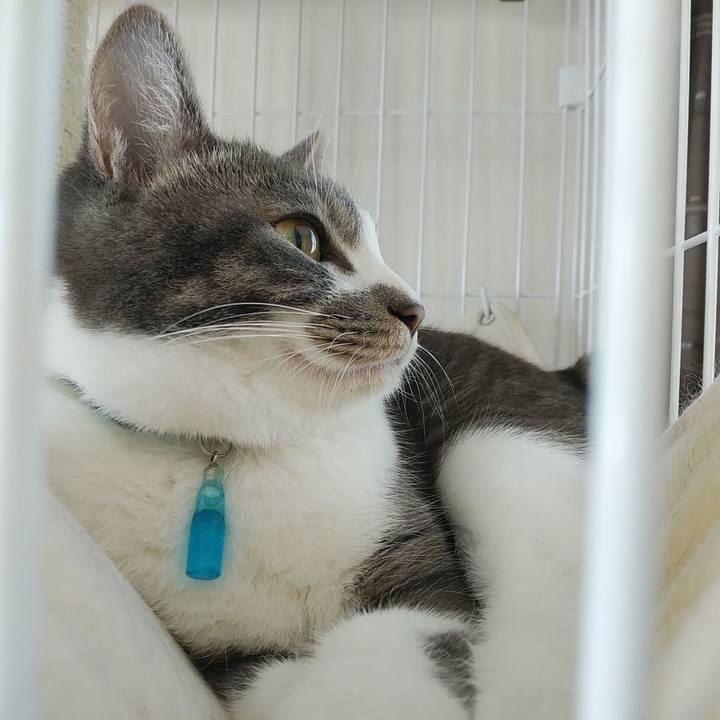 2e8302ea 1c10 4db3 b27c 0f9d14ff510a 1583884705052