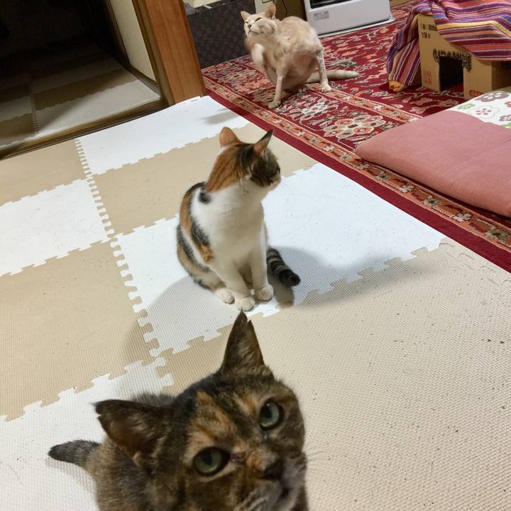 2e8319e6 4887 4185 abe4 adc6e9e3f610 1641728599230