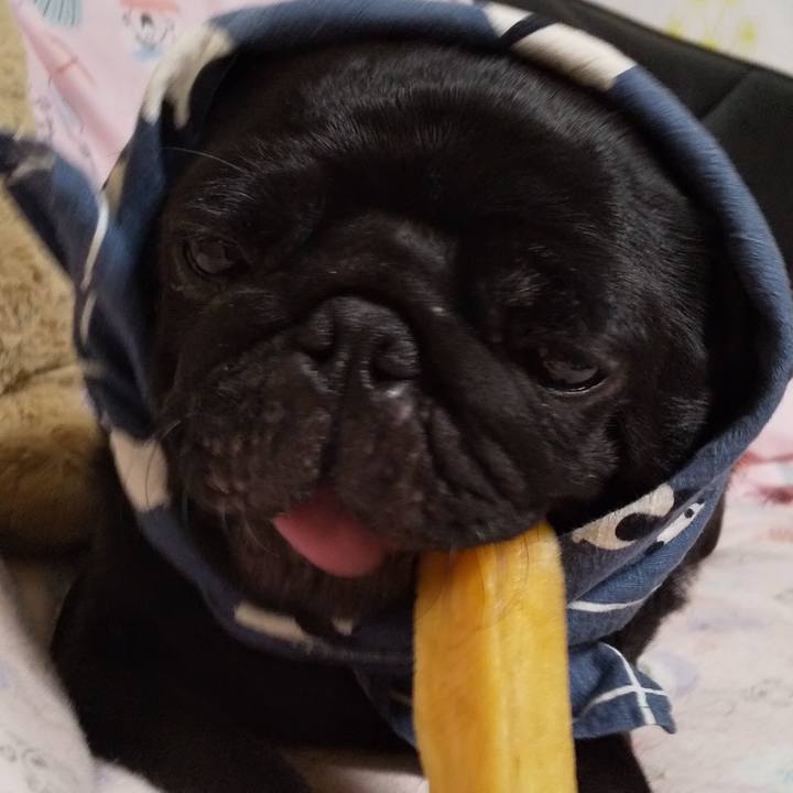 2e832d78 39f8 4294 9318 02eb344c59c0 1596979446394