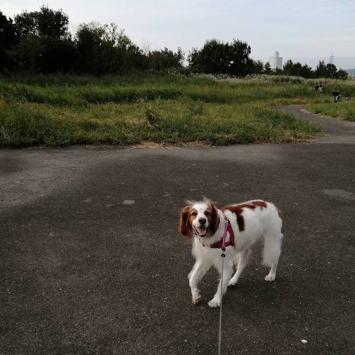 2e833da8 ac74 40fb 8a2f 997f821c256c 1632570849579