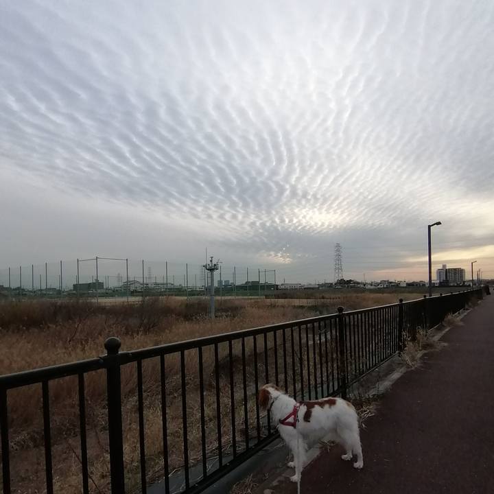 2e835021 c7a5 48ea 948a 51ec4df8b58b 1581063992214