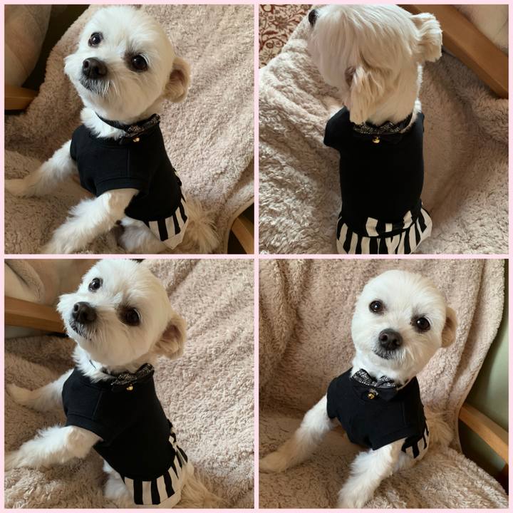 2e83689d d946 4ec4 b184 d5d3fc7c6d34 1614234662186