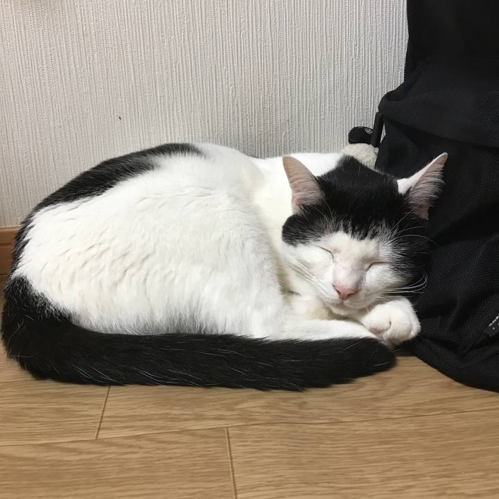 2e83a2ce 2165 4723 97a4 0525dd93e033 1532272122120