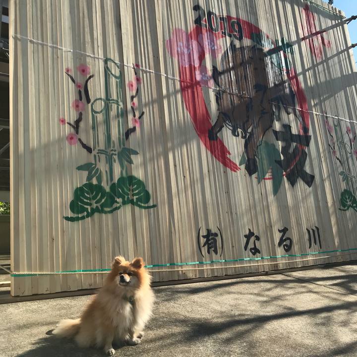 2e83c13e 601b 4dab 90ef c5261df7783e 1546602081958