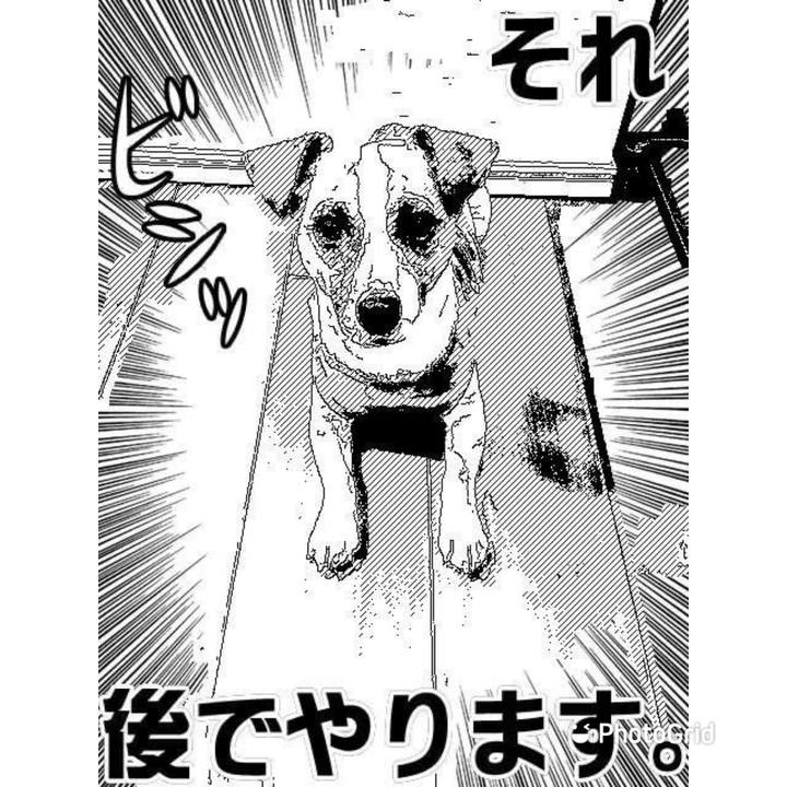 2e83f246 aaaf 470c 9d05 75b10a13ff1a 1656774888105