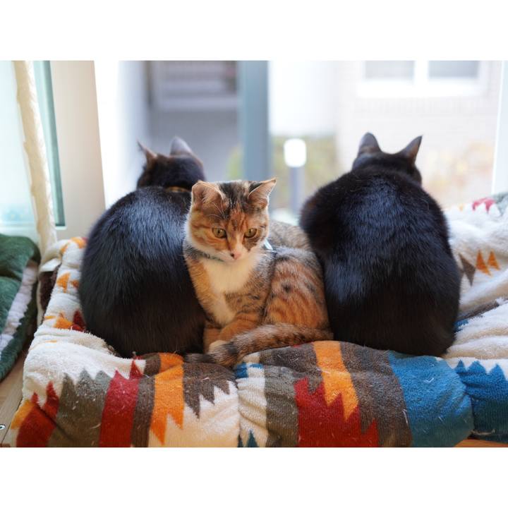 2e8445eb b61d 4132 95ef 32a23f732c06 1581896938905