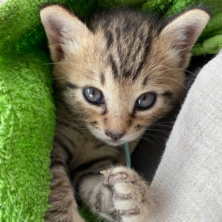 2e845f46 6cb0 43ac 9f28 0c99d94818d9 1596236956658