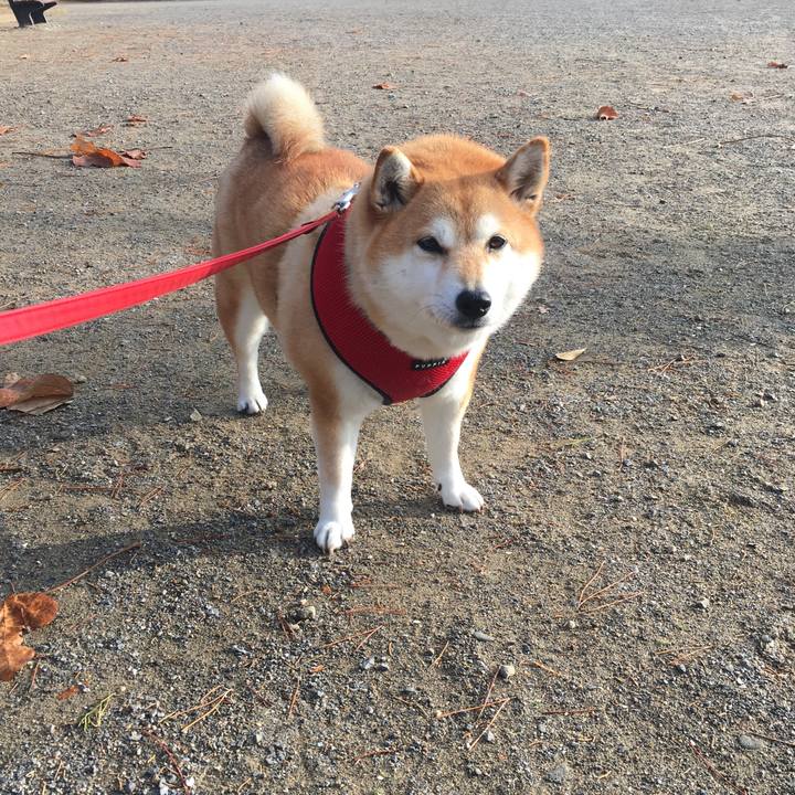 2e848a13 8502 4974 98a1 134ab8cd67e1 1606348855760