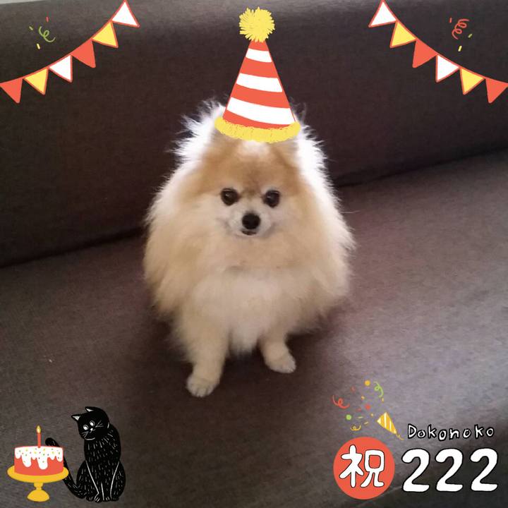 2e848dd4 f3d3 4201 8d42 fcc05a40ac05 1645500943407