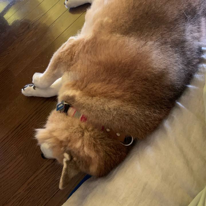 2e84b14d 361f 492b 8ec8 25aca6d70edd 1636282484280