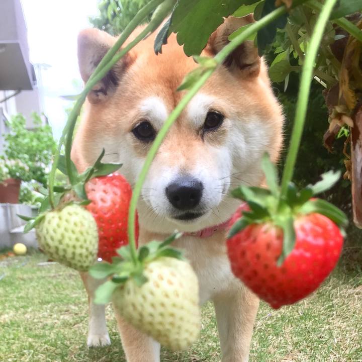 2e84b763 af5a 4ac0 bc10 08b05e2bbeda 1525402251015