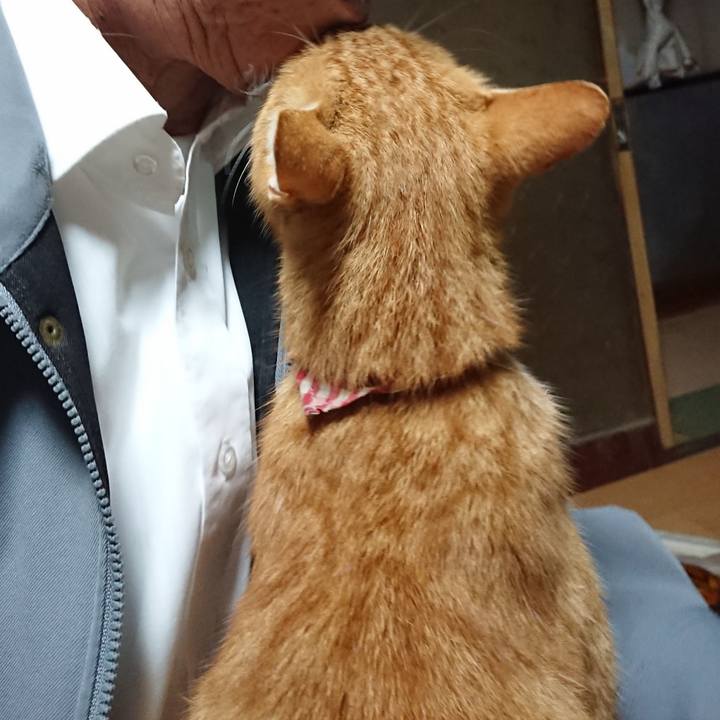 2e84c71b 1992 47b1 b744 60b90bd9b05f 1601846555875