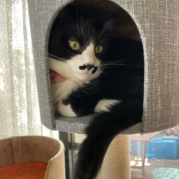 2e8516da b4cd 46a5 98e4 792cd49266a3 1750202905270