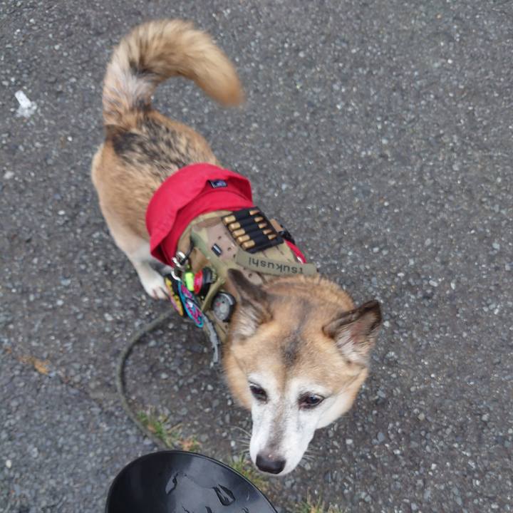 2e851b4c f2b6 477c 999e a8d8cb39f805 1657030550860