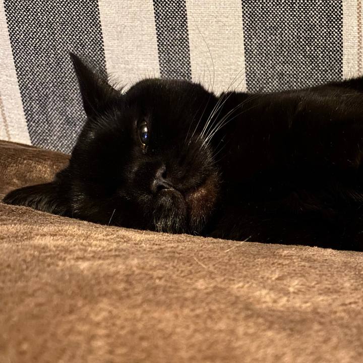 2e853197 b23b 46ff 9b5b 06062b15468b 1772196841184