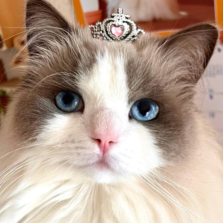 2e85421e e241 445c bc78 a6ef5e6a8324 1644663405945