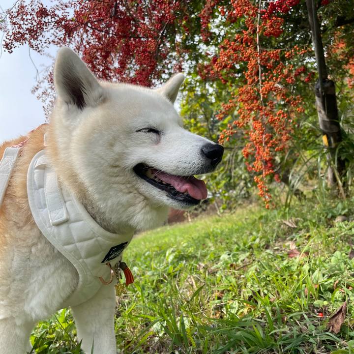 2e8581a6 94a3 4bc4 89ae 437fa823ef7e 1699311254429