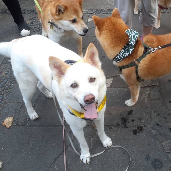 2e85bd9b 2f7c 4bef 9292 c88b70e2f8fb 1656718594773