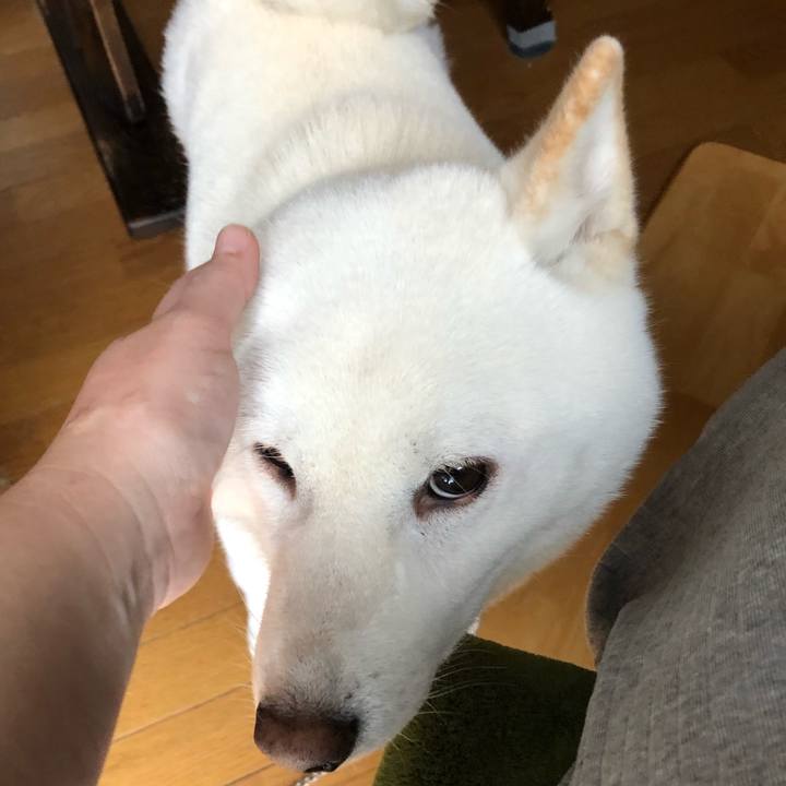 2e85c46a 1a20 49f7 9b61 f48e31743d94 1575070669104