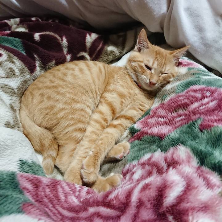 2e85d7cf 16cc 43ed bf1b 14c8346780d5 1633869279386