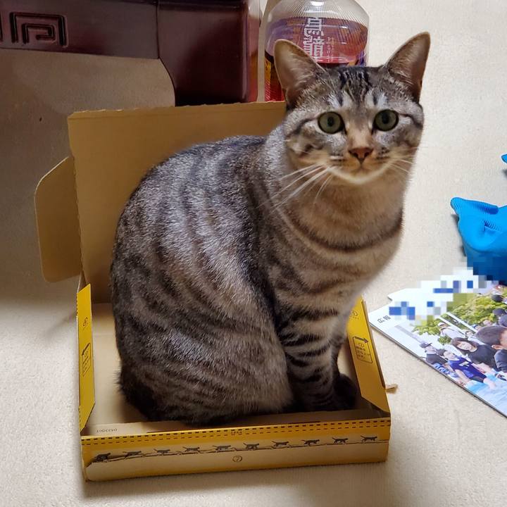 2e85eb16 c986 4053 88f5 a8aa2a10122d 1697127105220