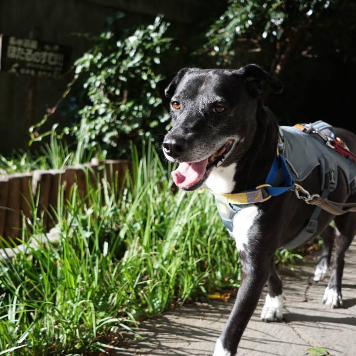 2e861888 d484 4769 b2eb 784465ad6587 1759884250379