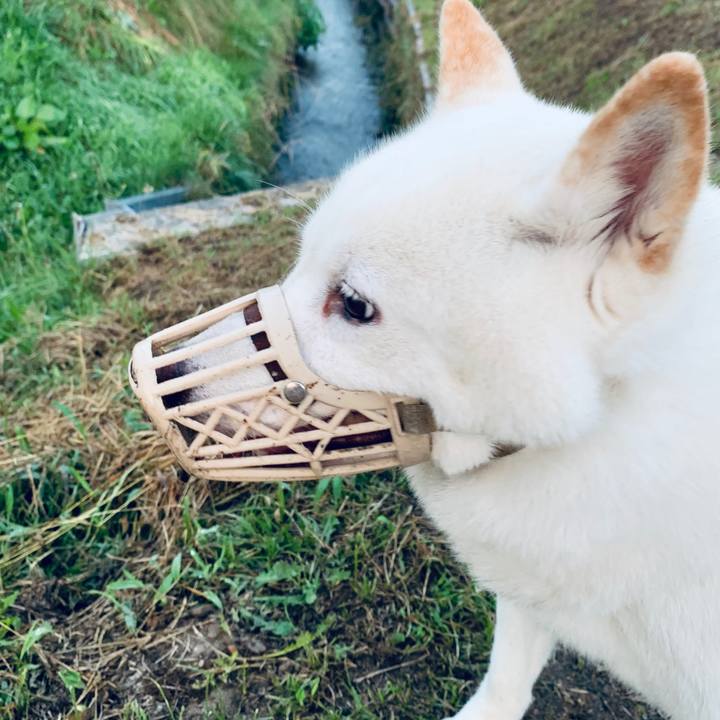 2e864286 36e1 4072 a912 055d686976fb 1599599538016