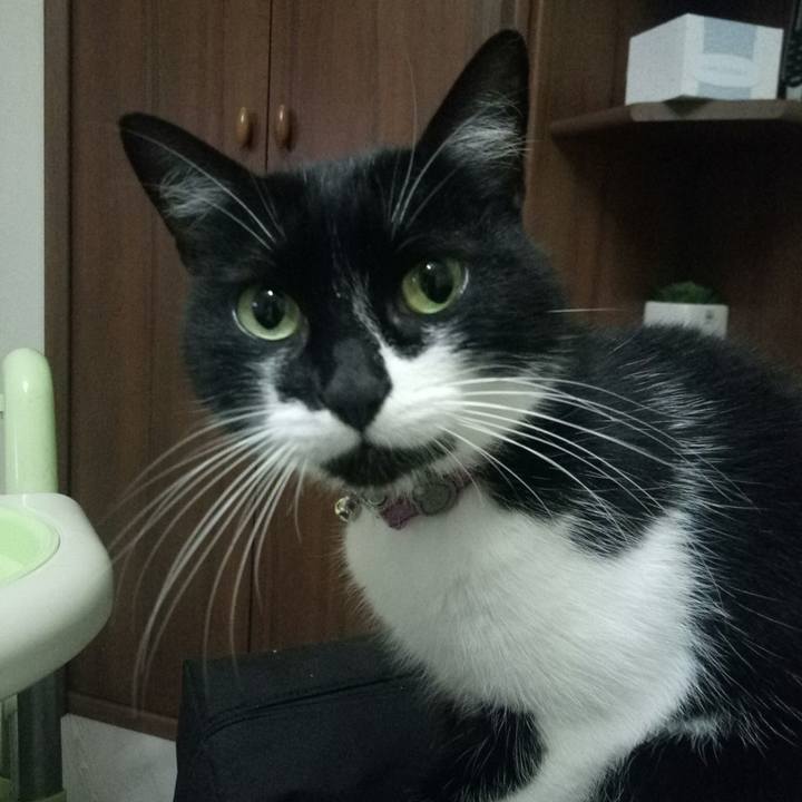 2e866f17 6f1f 4e2d a808 bbc0b06b181b 1570810087042