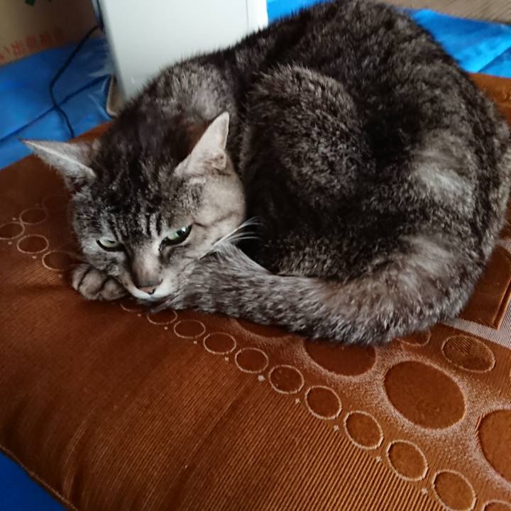 2e8679f3 45b7 4585 a47b 153ba46c29a3 1557124932915