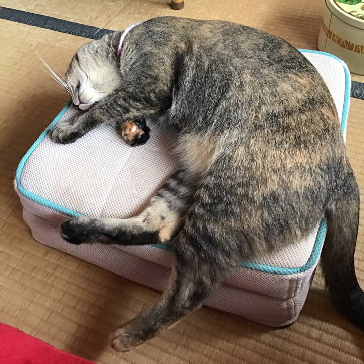 2e8694b5 c8ee 4b57 a777 9613bfa506c1 1597459034015