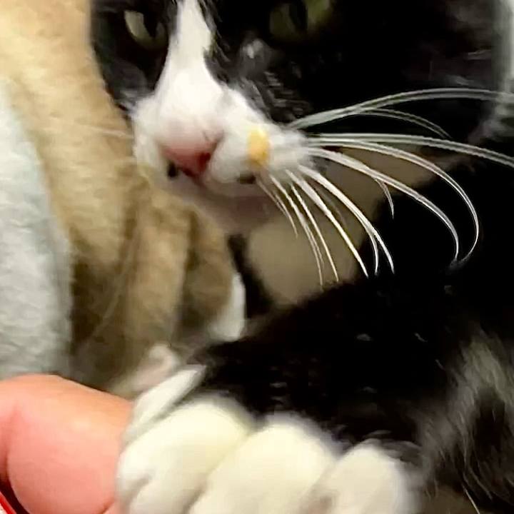 2e86a550 a6eb 479f bf45 0ec7fbf26fe7 1739706470979