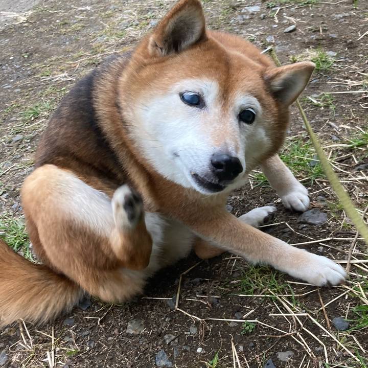 2e86abcc ee02 4086 81a2 5a8cd9138d51 1710208294367