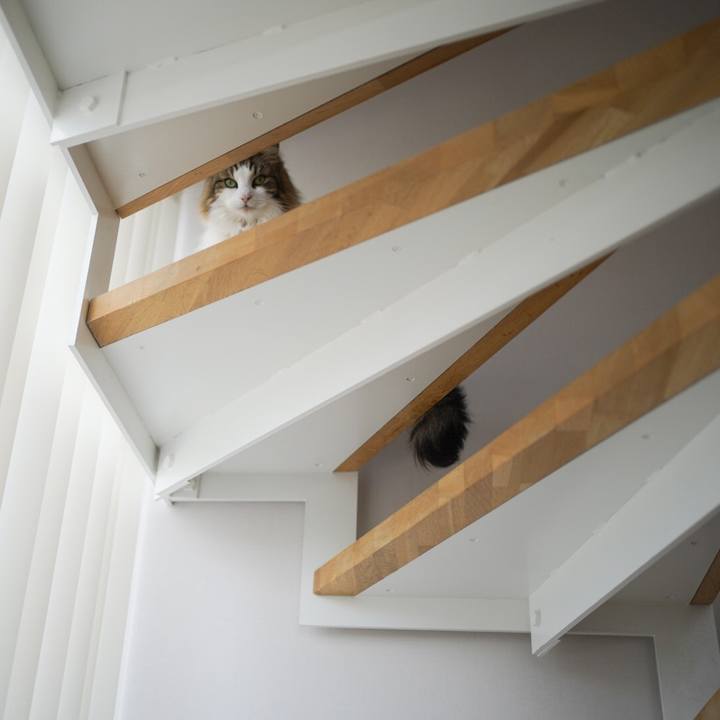 2e86b1ca a9c9 4e54 adf2 97ce2c0ad3ec 1584252702795