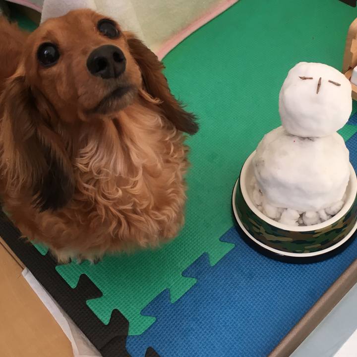 2e86ccfa d9b9 4543 81c9 499658e6a8dc 1518606686756