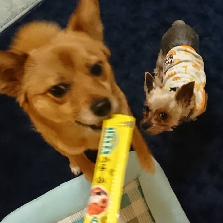 2e86e5e2 14ff 4b80 94ac a87fdd3eba4d 1526048171307