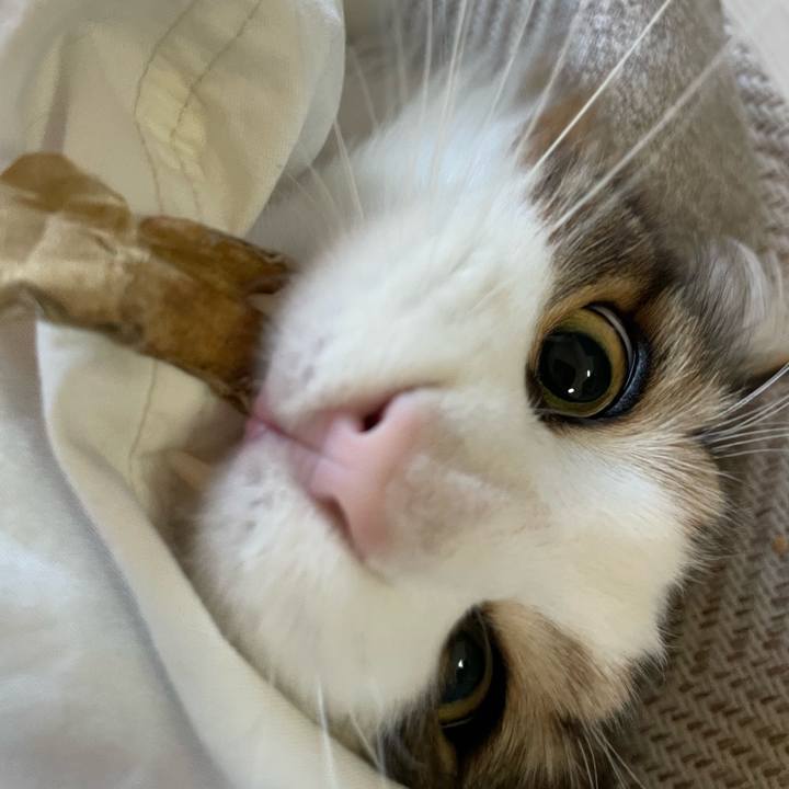 2e8710e1 b72c 435a 82d7 3ac77b2c0988 1680038970512