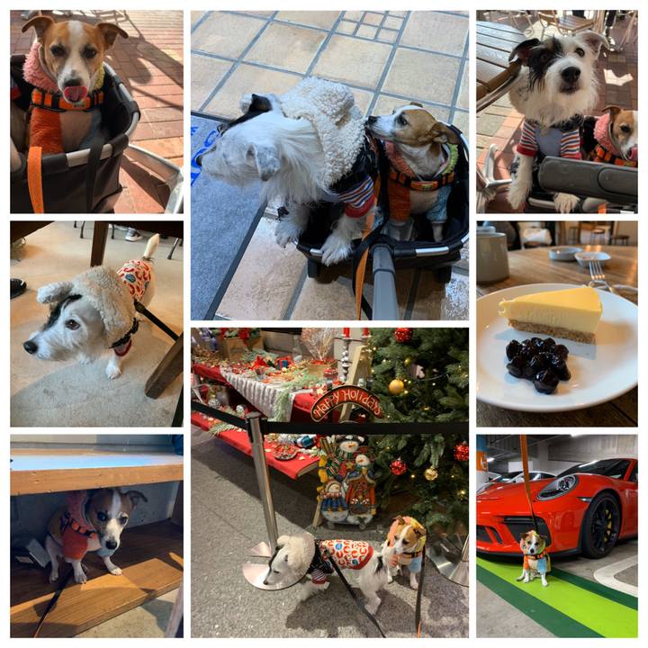 2e8783b2 8e7b 421f 8662 c91001c6437f 1576397122546