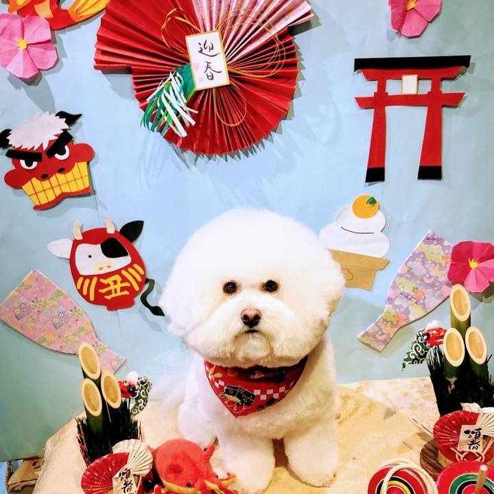 2e8797d1 5bd8 4737 b815 90ea7758eec2 1609468683661